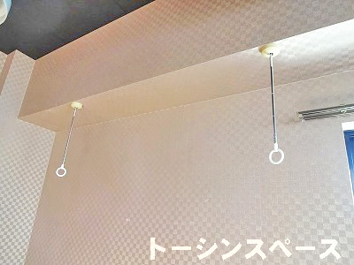 室内干しフック