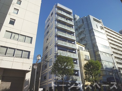 7981画像