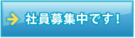 社員募集中です